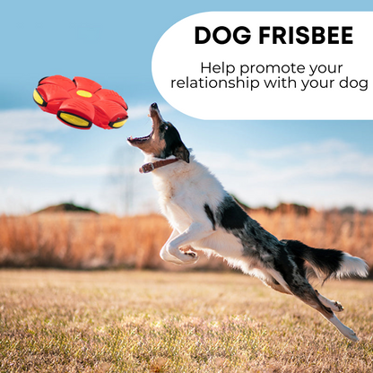 Morph-Disc Interactive Flying Ball – The Ultimate Outdoor Game-Changer